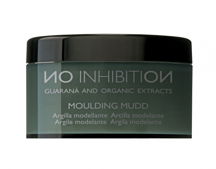 moulding mudd